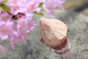 さくらジェラート